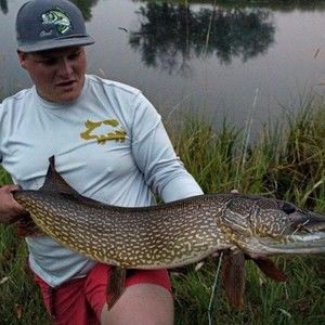 Meet your Posher, Dylan